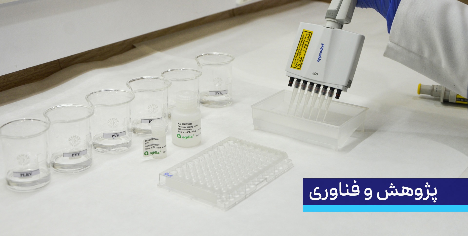 معاونت پژوهش، فناوری و انتقال یافته ها